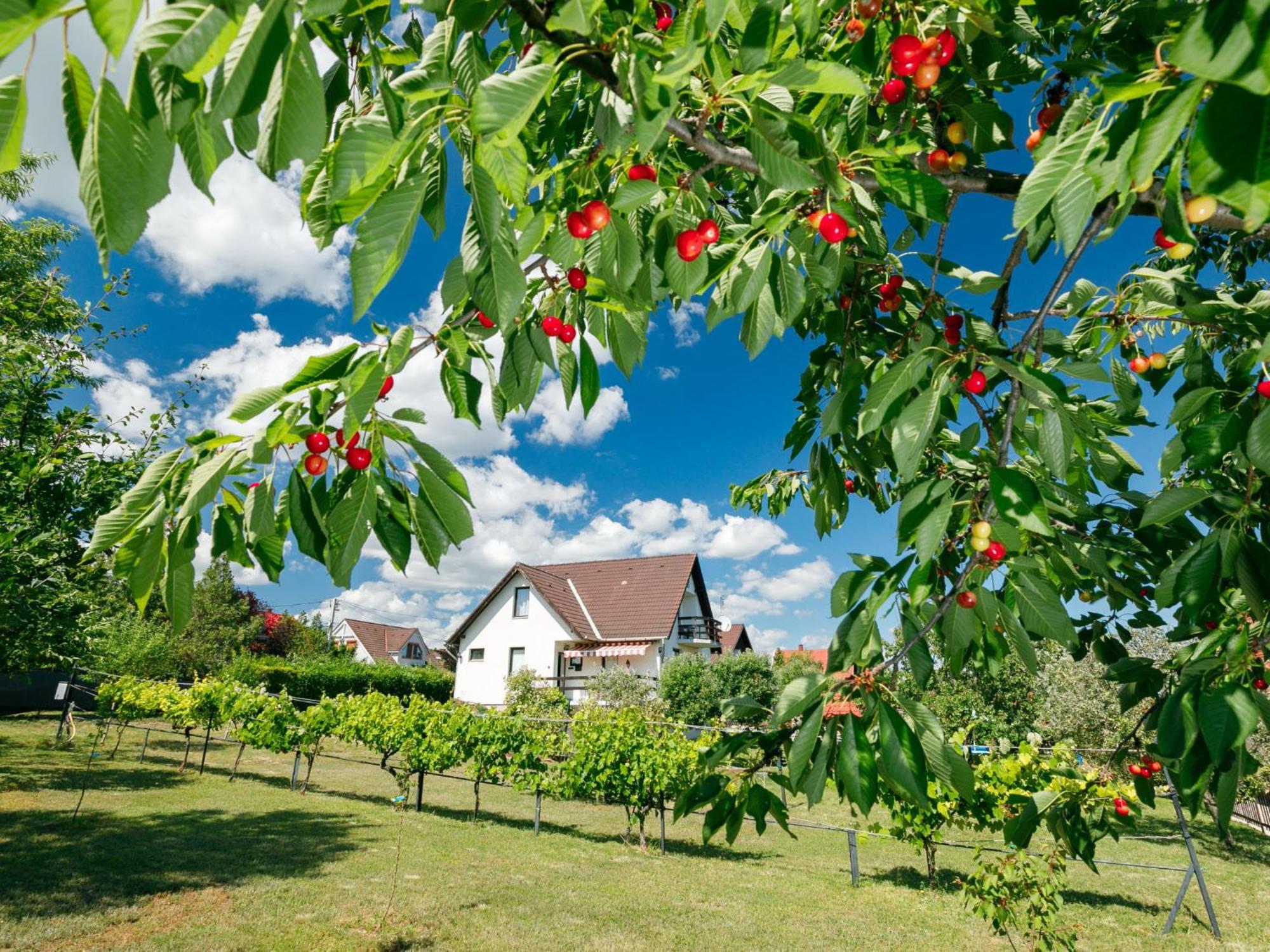 Holiday Home Antal By Interhome Balatonalmádi Esterno foto